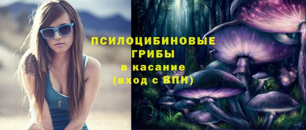 гидропоника Зеленодольск