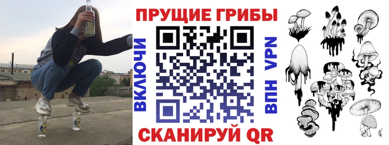 Купить где  Борисоглебск  Галлюциногенные грибы GOLDEN TEACHER 